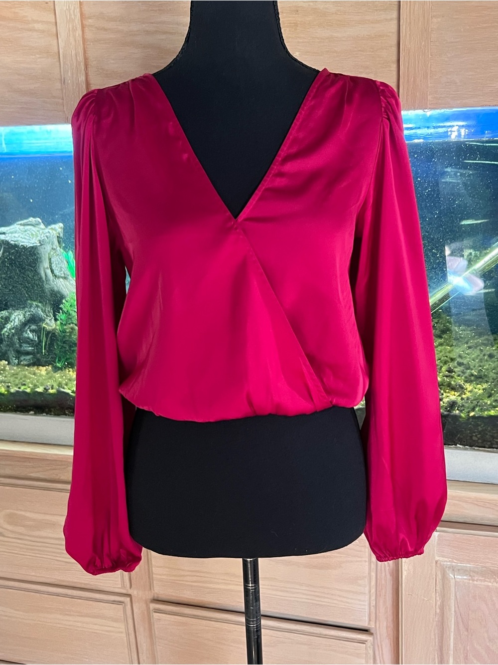 Express Satin long sleeve cropped blouse